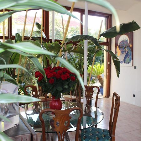 Villa Kumquats Béziers Exteriér fotografie